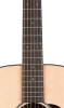 Neck